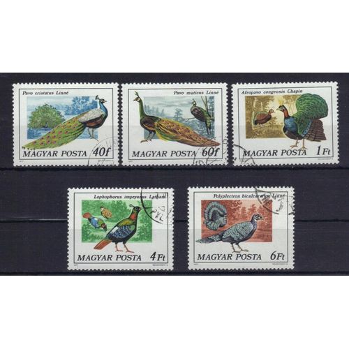Hongrie 1977 : Oiseaux Rares - Série De 5 Timbres Oblitérés