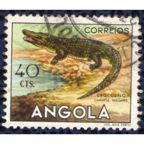 Angola 1953 Oblitéré Rond Used Animaux Sauvages Faune Crocodilo Crocodile