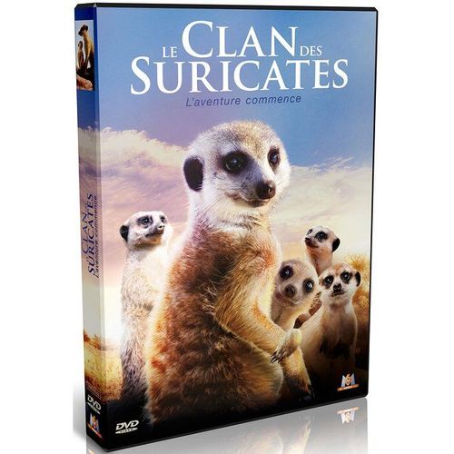 Le Clan Des Suricates : L'aventure Commence