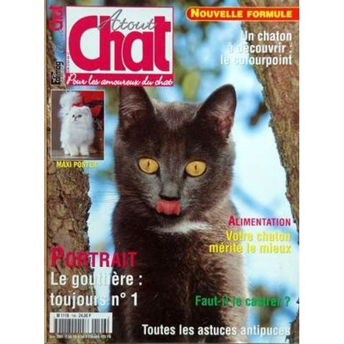 Atout Chat N° 196 Du 01/06/2001 - Le Colourpoint - Votre Chaton Merite Le Mieux - Faut-Il Le Castrer - Le Gouttiere - Touts Les Actuces Antipuces
