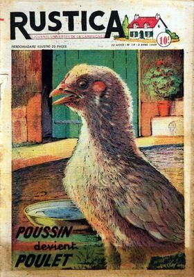 RUSTICA N 14 DU 03 04 1949 POUSSIN DEVIENT POULET POUR LES CHASSEURS LE CHIEN GRIS DE SAINT LOUIS L OEDICNENE CRIARD