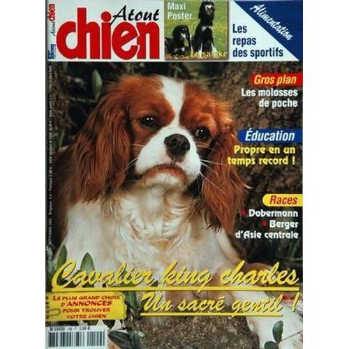 Atout Chien N° 199 Du 01/09/2002 - Le Cavalier King Charles - Le Doberman - Le Berger D'asie Centrale - Le Saluki - Les Repas Des Sportifs - Les Molosses De Poche - Propre En Un Temps Record