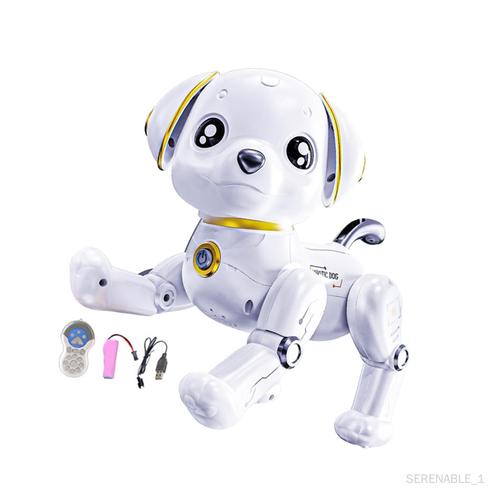 Chien Robot Télécommandé Interactif Pour Garçons Filles Enfants De 6 À 10