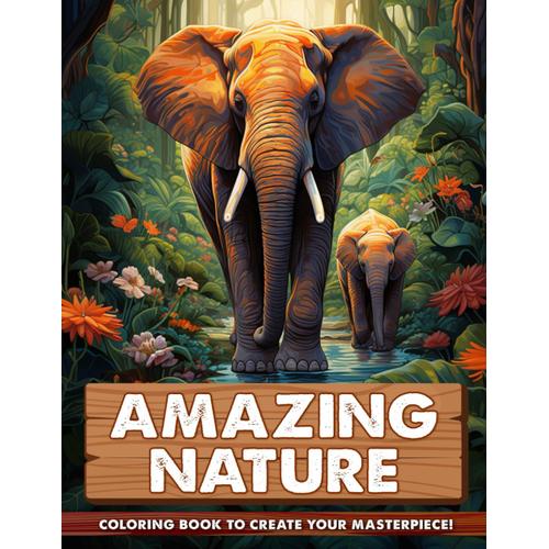 Amazing Nature Coloring Book: Mindfulness Coloring Book With Stress Relaxing Landscapes For Anxiety Relief And Relaxation For Teens And Adults