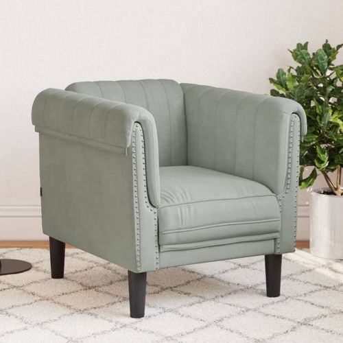 Vidaxl Fauteuil Gris Clair Velours