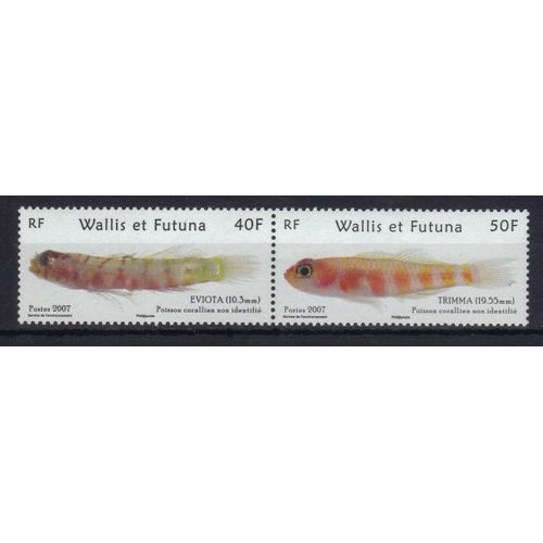 Wallis Et Futuna 2007 : Faune : Poissons Endémiques : Eviota / Trimma - Série Entière De 2 Timbres Neufs ** Attenants
