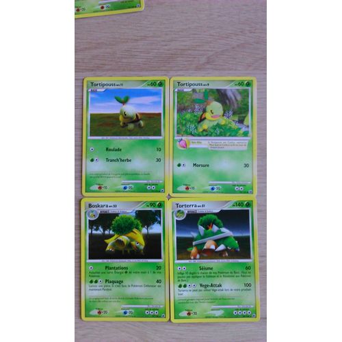 Pokémon Tortipouss - Boskara - Torterra - Aube Majestueuse