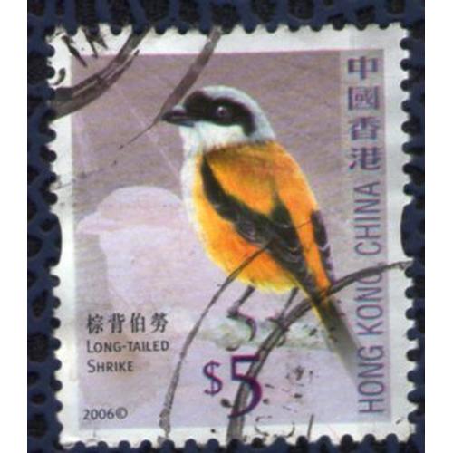 Hong Kong 2006 Oblitéré Used Stamp Oiseau Bird Long Tailed Shrike Pie Grièche Schach