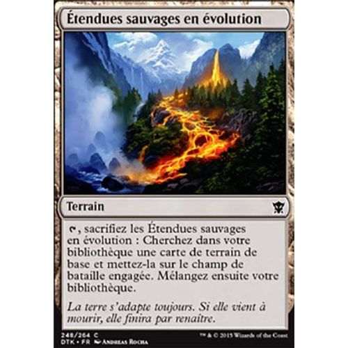  Étendues Sauvages En Évolution - Les Dragons De Tarkir - C