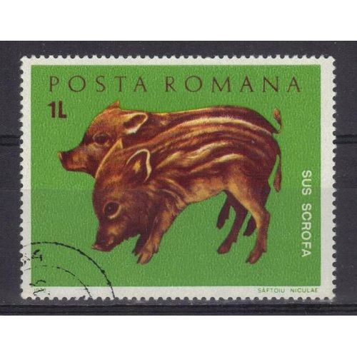 Roumanie 1972 : Faune : Gibier : Sangliers - Grand Timbre Oblitéré