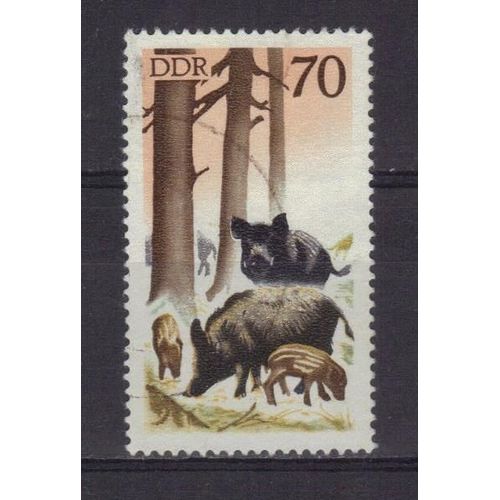 Allemagne Ddr 1965 : Faune : Gibier : Sangliers - Timbre Oblitéré
