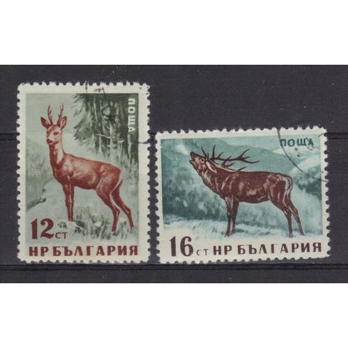 Bulgarie 1962 : Faune : Gibier : Chevreuil / Cerf - Série De 2 Timbres Oblitérés