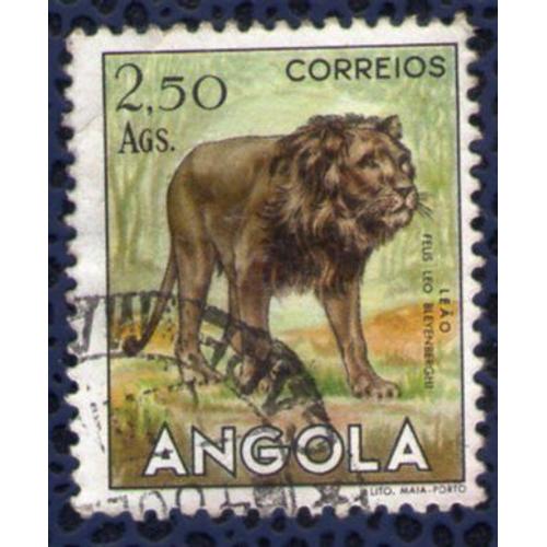Angola 1953 Oblitéré Rond Used Animaux Sauvages Lion Leão