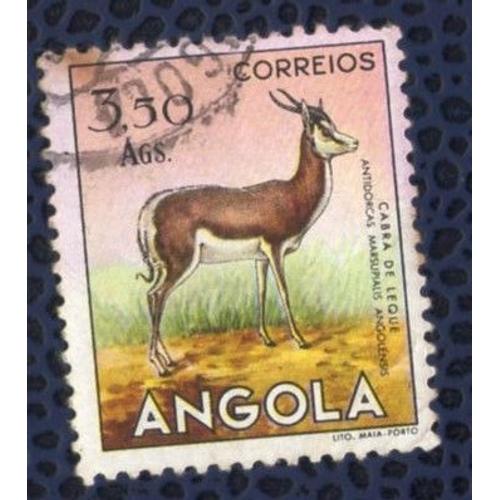 Angola 1953 Oblitéré Rond Used Animaux Sauvages Cabra De Leque Chèvre Goat Springbok