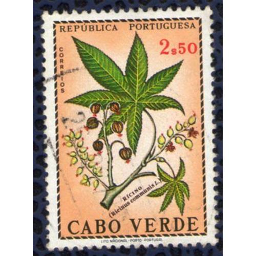 Cap Vert 1968 Oblitéré Rond Used Plantes Médicinales Rícino Ricinus Communis