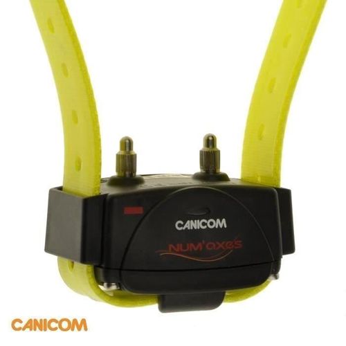Collier Seul Dressage Chien Canicom +Sangle Jaune