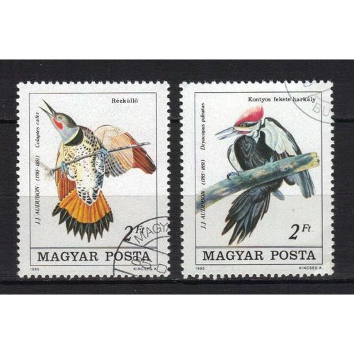 Hongrie 1985 : Bicentenaire De La Naissance De L'ornithologue J.J. Audubon (1785-1851) : Oiseaux : Colaptes Cafer / Dryocopus Pileatus - Série De 2 Timbres Oblitérés