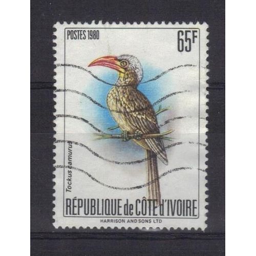 Cote D'ivoire 1980 : Oiseau : Calao Pygmée (Tockus Camurus) - Timbre 65 F. Oblitéré