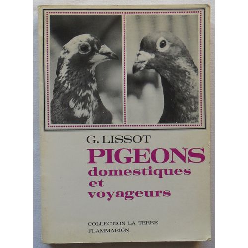 Pigeons Domestiques & (Et) Voyageurs.