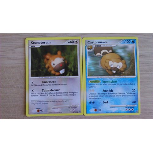 Pokémon Keunotor - Castorno - Tempête