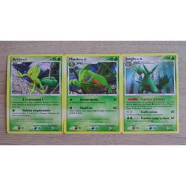 Pokémon Arcko - Massko - Jungko - Tempête