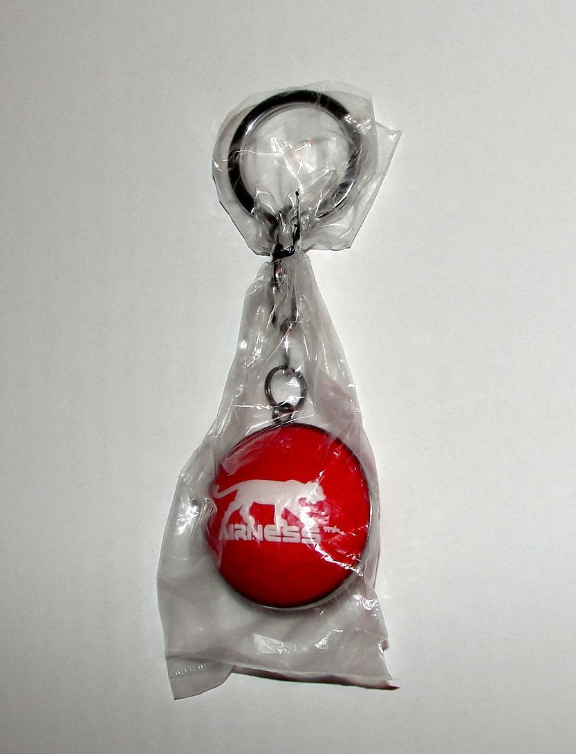 Airness Porte Cles Clef Metal