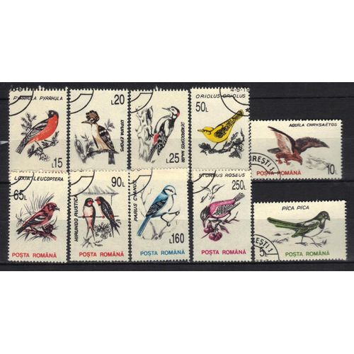 Roumanie 1993 : Oiseaux Divers Muticolores - Série Entière De 10 Timbres Oblitérés