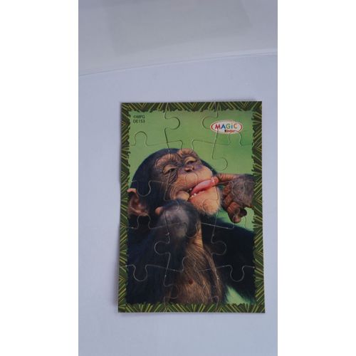 Kinder - Puzzle Singe