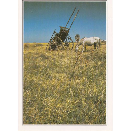 Uruguay, " Etendues Près De Montevideo ".