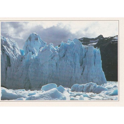 Argentine, " Glacier Du Parc National ".