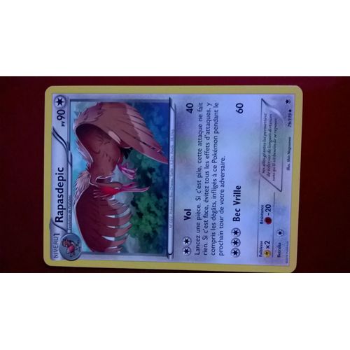 Carte Rapasdepic 90pv