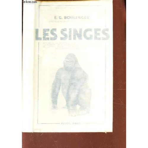 Les Singes / Le Gorille, Le Chimpanzé, L'orang-Outang, Le Gibbon, Le Babouin, Les Singes De L'ancien Monde, Les Singes Du Nouveau Monde, Les Singes Dans Le Folklore, Les Légendes Et Les ...