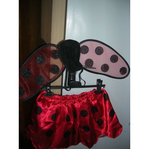 Costume Coccinelle 4/5 Ans