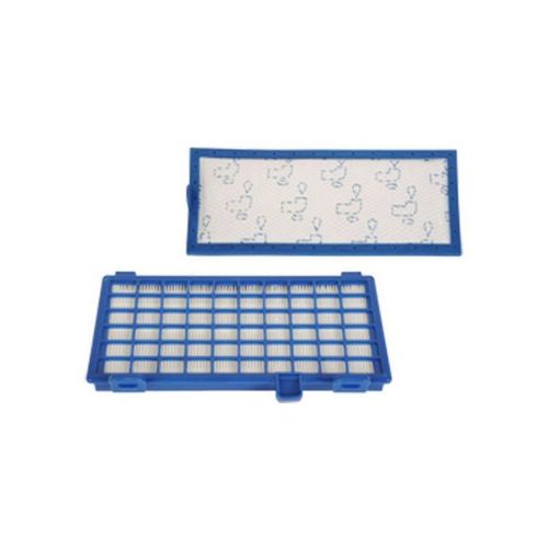 Rowenta ZR902301 - Filtre - pour aspirateur - pour X-Trem Power Cyclonic Parquet RO6245, RO6245PA, RO6289EA