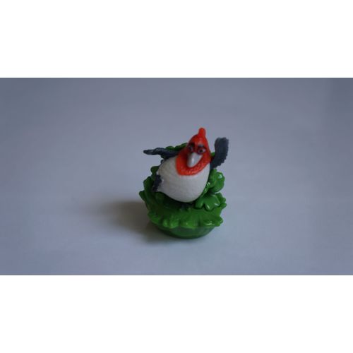 Kinder Rio 2 - Pedro