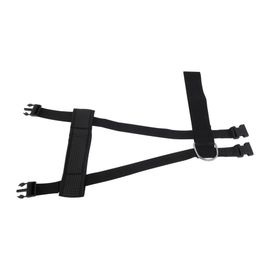 Ceinture De Securite Animaux M