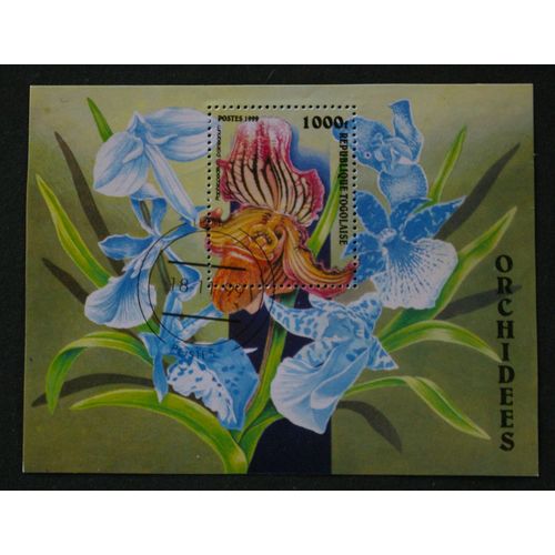 Orchidées