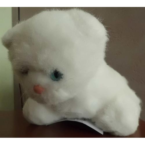 Chat Blanc Nounours