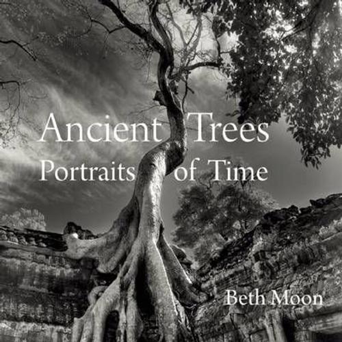 Ancient Trees