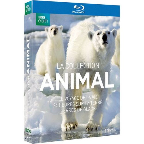 Coffret La Vie Sauvage : Le Voyage De La Vie + 24 Heures Sur La Terre + Terres De Glace - Pack - Blu-Ray