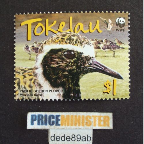 Tokelau W W F 1.00 Pacific Golden Plover . Série Oiseaux : Pluvialis Fluva .
