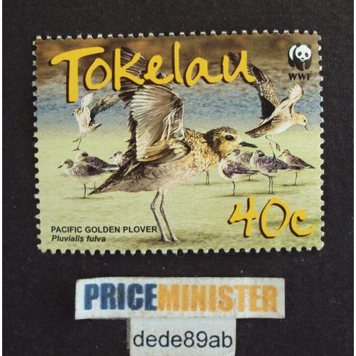 Tokelau W W F . Pacific Golden Plover . Série Oiseaux : Pluvialis Fulva .