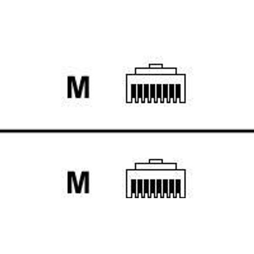 Belkin - Cordon de raccordement - RJ-45 (M) pour RJ-45 (M) - 2 m - UTP - CAT 5e - sans crochet - gris - pour Omniview SMB 1x16, SMB 1x8; OmniView SMB CAT5 KVM Switch