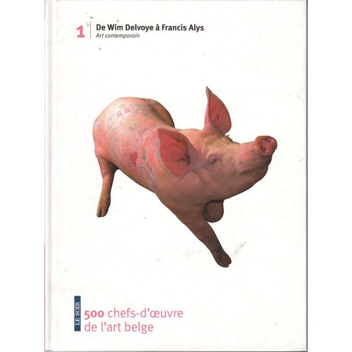De Wim Delvoye À Francis Alys - Art Contemporain.