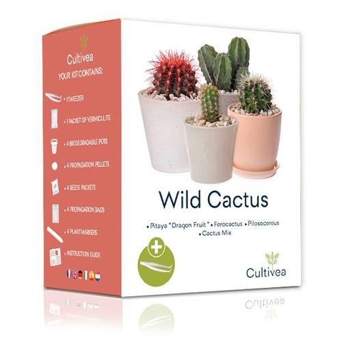 CULTIVEA® Mini Kit Prêt à Pousser Cactus ? Graines 100% bio Pitaya ? Dragon Fruit ?, Ferocactus, Pilosocereus et Cactus Mix - Made In France