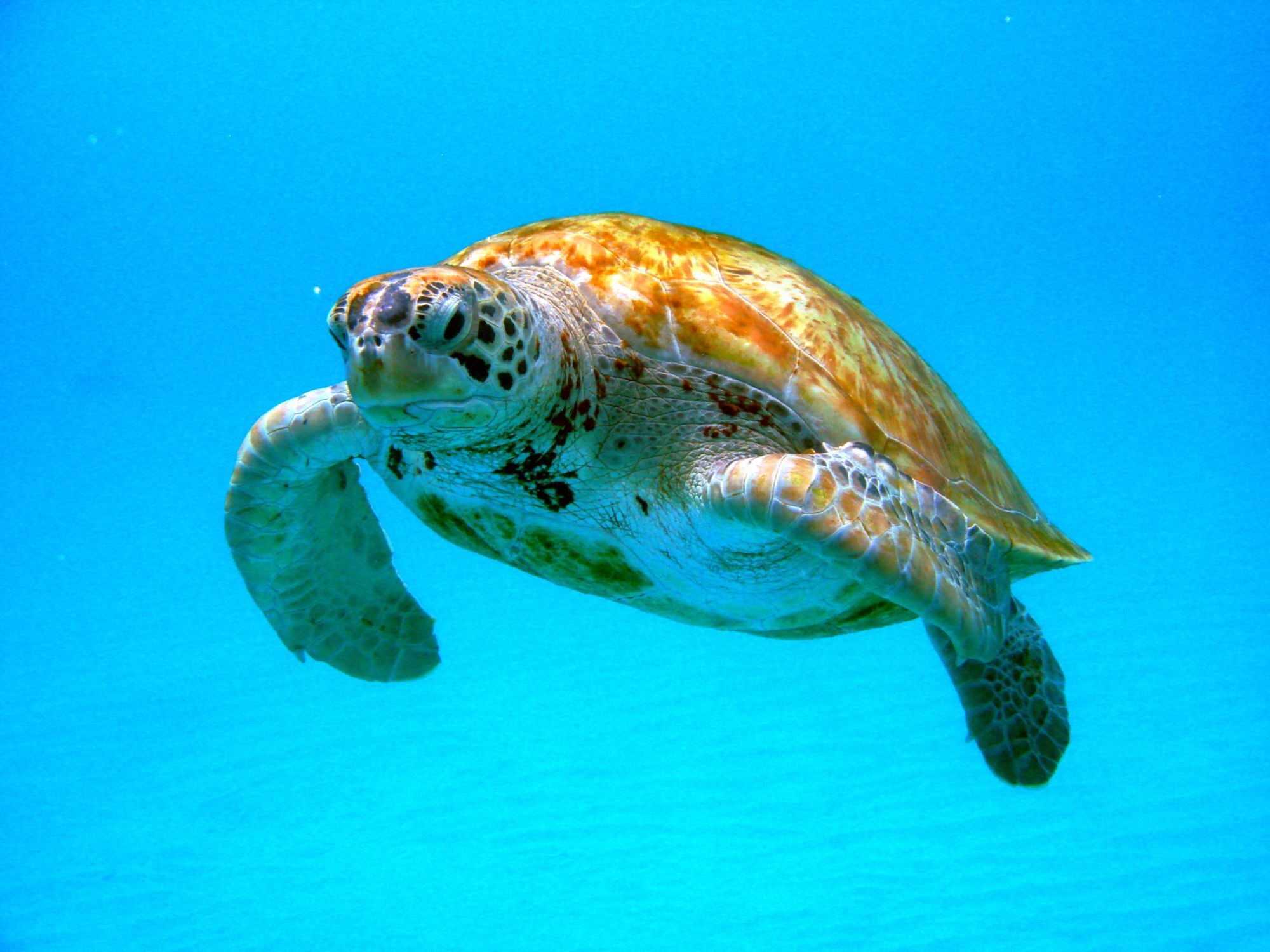 Billet d'entr�e Parc Marineland_image_7|Rakuten