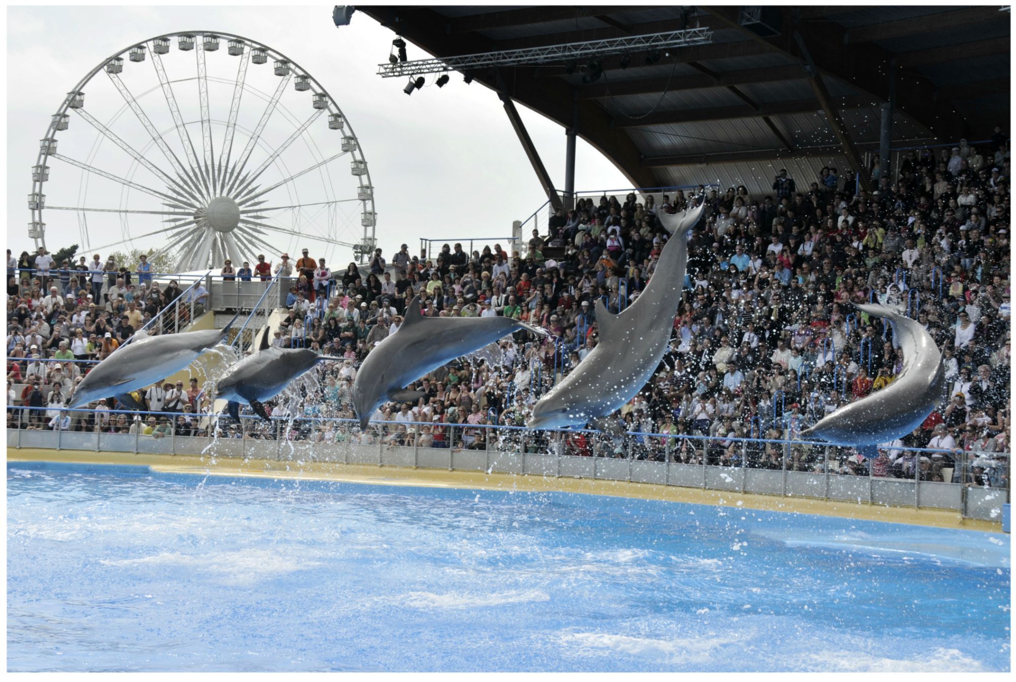 Billet d'entr�e Parc Marineland_image_8|Rakuten