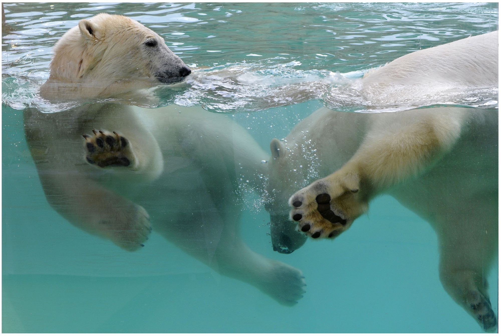 Billet d'entr�e Parc Marineland_image_5|Rakuten