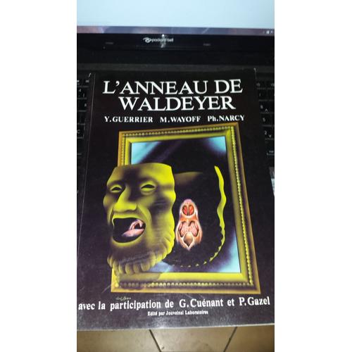 L'anneau De Waldeyer