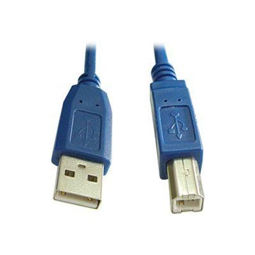 Lindy - Câble USB - USB (M) pour USB type B (M) - USB 2.0 - 5 m - moulé - bleu